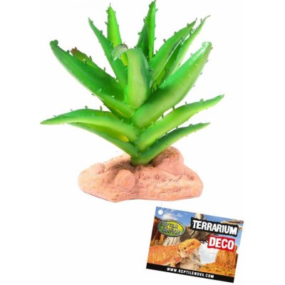 Reptile Nova Aloe 13 cm