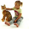Plyšová sediaca mačka Micka ocelot, výška 45cm