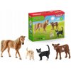 Schleich Farm World štartovací set 72161