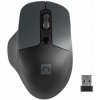 Natec optická myš BLACKBIRD 2/1600 DPI/Kancelárska/Optická/Bezdrôtová USB/Čierna (NMY-1874)