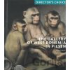 Director‘s choice The Gallery of West Bohemia in Pilsen - Západočeská galerie v Plzni