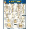 Anatomy Easel Book (Inc. Barcharts,Vincent Perez)()