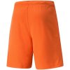 Pánske krátke nohavice TeamRise Short Prist M 704942 08 - Puma 2XL