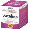 Vitar Vazelína Aloe Vera & Bambucké maslo 110g