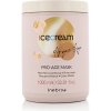 Inebrya Ice Cream Argan Age Pro-Age Mask 1000 ml