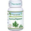 Planet Ayurveda CARICA PAPAYA 60 kapsúl – silný extrakt z listov papáje melónovej