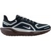 Nike Bežecké topánky Pegasus 41 GORE-TEX fq1357-401