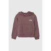 The North Face detská mikina G VERTICAL LINE HOODIE NF0A854Q 155 fialová