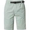 Pánské šortky Fox Bravo Cargo Short L