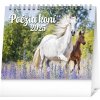 Notique Stolový kalendár 2025 Poézia koní 16,5 x 13 cm