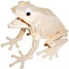 Woodcraft Drevené 3D puzzle Žaba