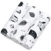 T-TOMI TETRA pleny HIGH QUALITY Owls