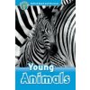 Oxford Read and Discover: Level 1: Young Animals (Richard Northcott)(Brožovaná)