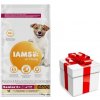 IAMS-Dry krmivo Vitality pre staršie malé a stredné psy, s čerstvým kuracím mäsom 12kg + prekvapenie pre vášho psa GRATIS