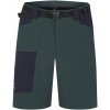 Hannah VERNE pánske outdoorové kraťasy 10019426HHX01 green gables/anthracite