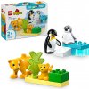 LEGO® DUPLO® 10442 Rodinky divokých zvierat: Tučniaky a levy