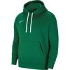 Nike Park 20 Hoodie W CW6957-302