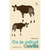 Co je odtud vidět - Mariana Leky