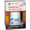 Barny's Sioux MSM Super Forte + Darček ULTRA-C IMUNO COMPLEX cps 30 ks + Sioux prášok 600 g, 1x1 set