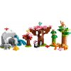 LEGO® DUPLO® 10974 Divoké zvieratá Ázie