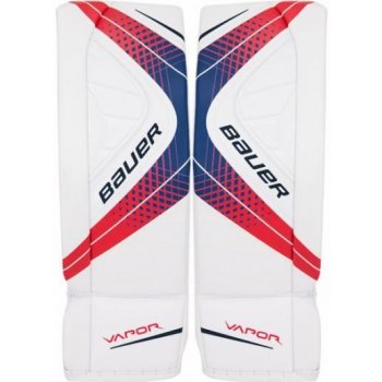 Bauer Vapor X900 senior