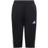 Shorts adidas Tiro 23 3/4 Pants Jr HS3552 (125450) 116 cm