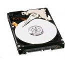 Pevný disk interný WD Scorpio Black 320GB, SATAII, 16MB, 7200rpm, 12ms, WD3200BEKT