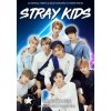 Kalendár 2026 Stray Kids, A3