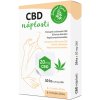 Zelená Země CBD náplasti 30 ks