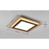 TRIO 641510280 MORGAN stropné svietidlo SMD LED 450x450mm 46W/6000lm 2700-6500K zlatá, čierna, stmievateľné, diaľkový ovládač