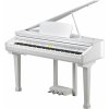 Kurzweil KAG100 WHP