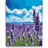 Vymalujsisam.sk Maľovanie podľa čísiel - Levanduľa na poli Veľkosť: 30x40cm, Rám: Na plastovej doske