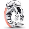 Pandora 793896C01