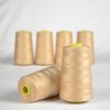 Takoy Overlock / coverlock polyesterová niť NTF 5000 farba svetlohnedá-NS-2386