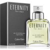 Calvin Klein Eternity for Men Parfum 100 ml