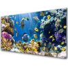 Nástenný panel Koralový útes príroda 100x50 cm