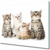 Sklenená doska na krájanie Malé mačky 60x52 cm