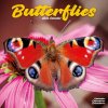 Butterflies, 30,5 x 30,5 30,5 x 61 cm 2026