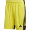Pánske šortky Tastigo 19 DP3249 Yellow - Adidas S