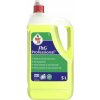 Jar Fairy P&G Professional na ručné umývanie riadu 5 l
