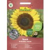 Slnečnica Snack FloraSelf Select