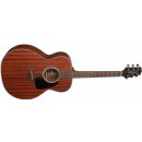 Takamine GD11M-NS