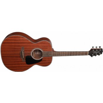 Takamine GD11M-NS