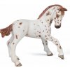 Figúrka PAPO Apaloosa mláďa (3465000515102)