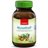 P. Jentschura WurzelKraft omnimolekulárna BIO potravina 300 g
