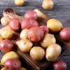 BIO sadbové zemiaky - 4 druhy - rozmanitosť - Solanum tuberosum - bio zemiaky - 12 ks