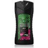 Axe Wild Fresh Bergamot & Pink Pepper Men sprchový gél 250 ml