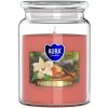 BISPOL Vanilla & Amber 500 g