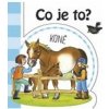 Co je to? Koně