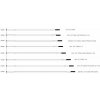 Crankbrothers WHEEL 14 spoke slvr 2.0-1.8-2.0/147mm (Cobalt 2 27,5) (2014-2016)